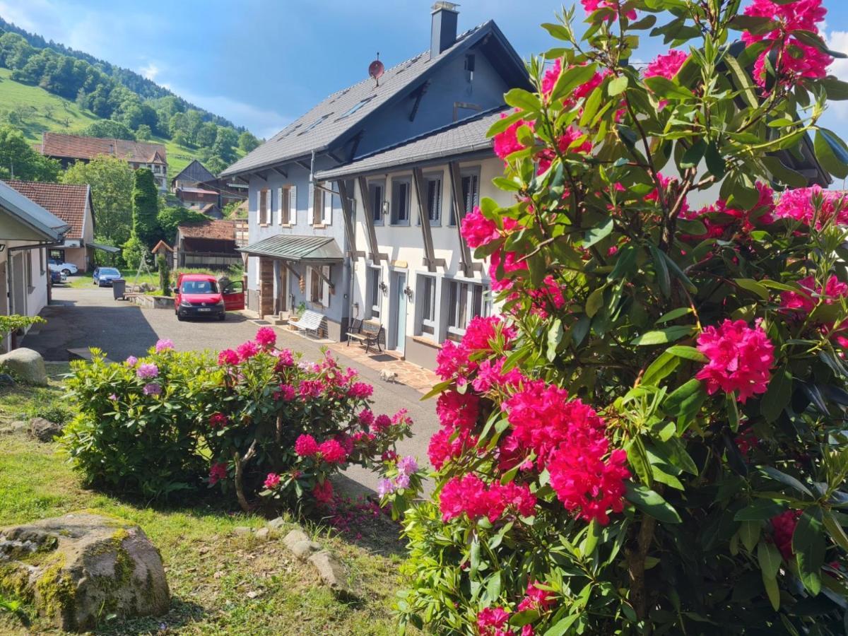 Locations Des 3 Sommets Avec Sauna Et Spa En Alsace Sondernach المظهر الخارجي الصورة