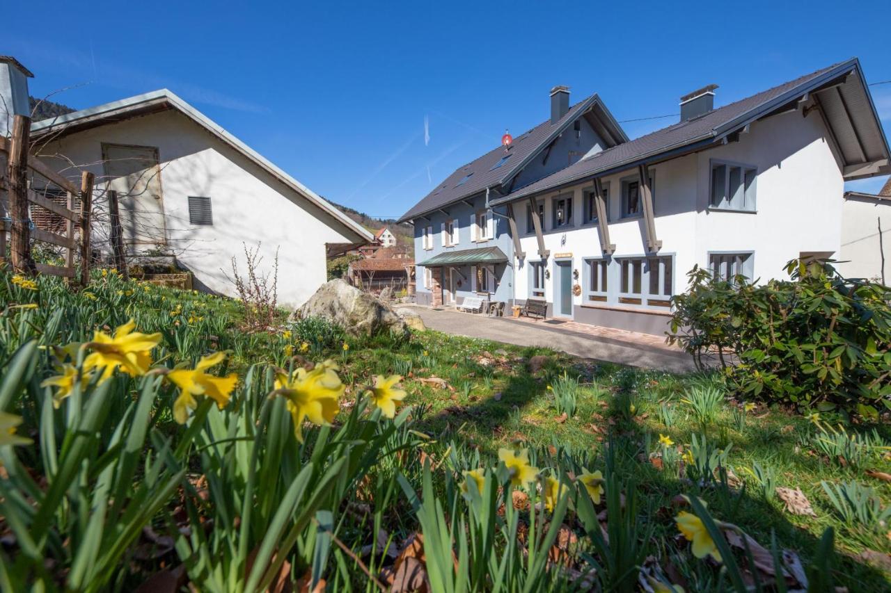 Locations Des 3 Sommets Avec Sauna Et Spa En Alsace Sondernach المظهر الخارجي الصورة